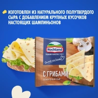 Сыр HOCHLAND плавленый с грибами 150 г 45%