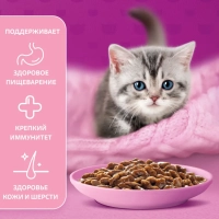 WHISKAS рагу с ягненком для котят 75 г