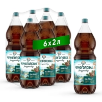 Напиток НАПИТКИ ИЗ ЧЕРНОГОЛОВКИ "Байкал" сильногазированный 2 л