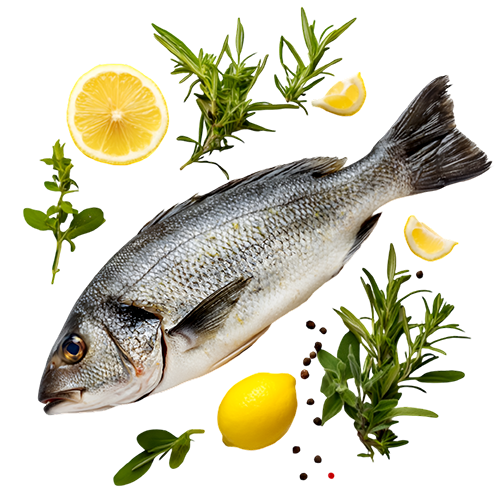 Рыба и морепродукты