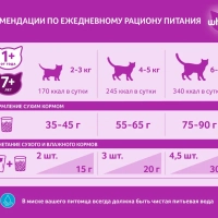 WHISKAS подушечки с нежным паштетом "Аппетитный обед с лососем" 350 г