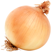 Лук репчатый