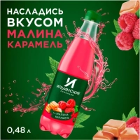 Напиток ИЛЬИНСКИЕ ЛИМОНАДЫ малина карамель газированный 0.48 л