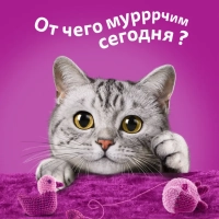 WHISKAS желе с говядиной и ягненком 75 г