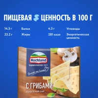 Сыр HOCHLAND плавленый с грибами 150 г 45%