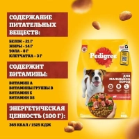 PEDIGREE с говядиной для собак мелких пород 600 г