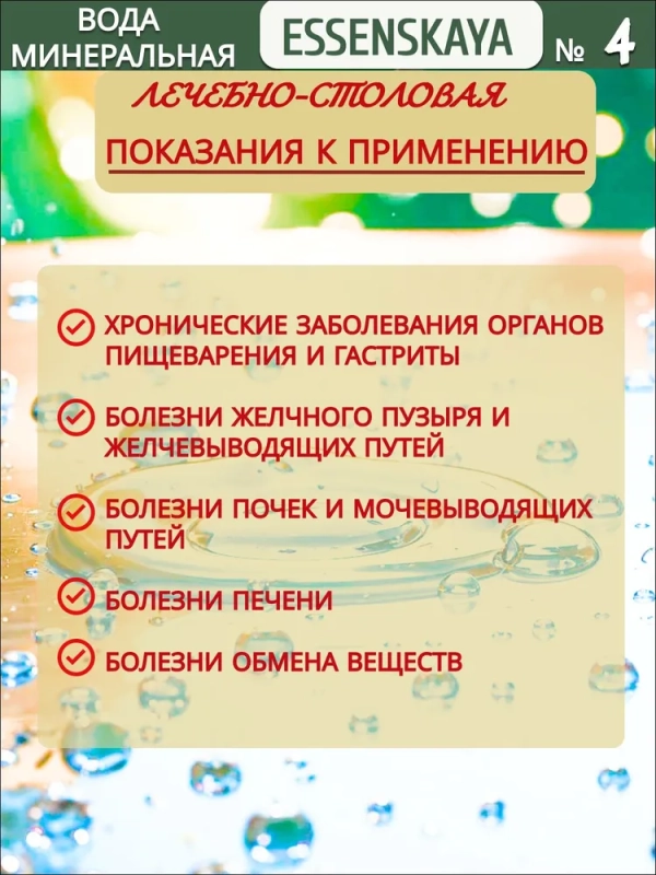 Вода минеральная РЕЦЕПТ ОТ ПРИРОДЫ ЕССЕНСКАЯ Вода минеральная РЕЦЕПТ ОТ ПРИРОДЫ ЕССЕНСКАЯ "Нагутская-4" лечебно-столовая газированная 0.45 л