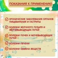 Вода минеральная РЕЦЕПТЪ ОТ ПРИРОДЫ "Ессентуки №17" лечебная газированная 0,45 л
