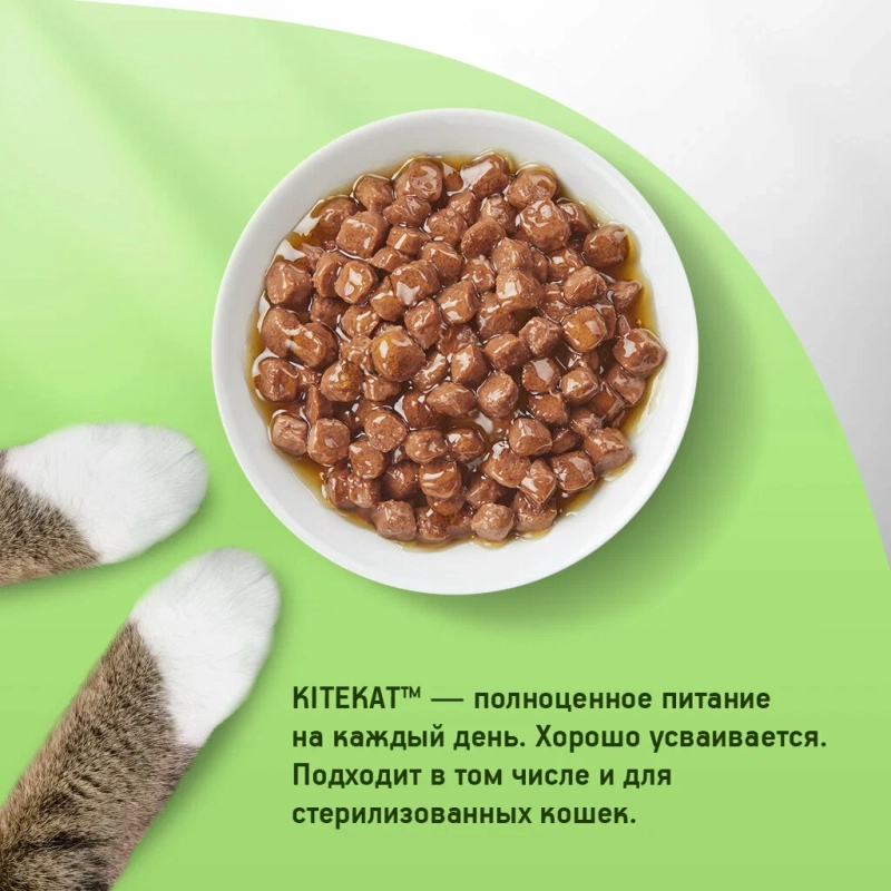 KITEKAT с курицей в соусе 85 г KITEKAT с курицей в соусе 85 г