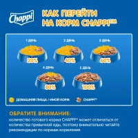 CHAPPI "Сытный мясной обед" по-домашнему с говядиной 600 г
