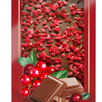 Шоколад DEMIDOFF молочный с добавлением кусочков сушеной клюквы 80 г