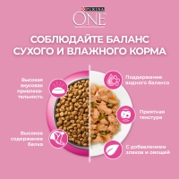 PURINA One курица и злаки для котят от 1 до 12 месяцев 200 г