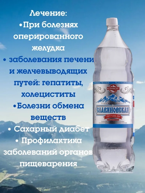 Вода минеральная ЕМВ+ "Славяновская" лечебно-столовая газированная 1.45 л