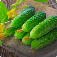 Огурцы свежие