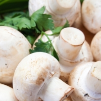 Шампиньоны вес