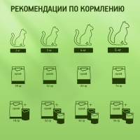 KITEKAT с говядиной в желе 85 г