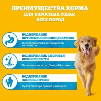 PEDIGREE с говядиной для собак всех пород 600 г