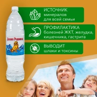 Вода питьевая РУЧЕЕК "Долина родников" газированная 1.5 л
