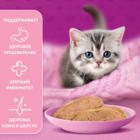 WHISKAS рагу с курицей для котят 75 г
