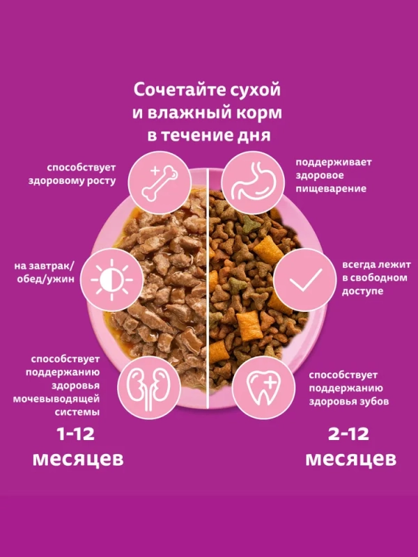 WHISKAS рагу с ягненком для котят 75 г WHISKAS рагу с ягненком для котят 75 г