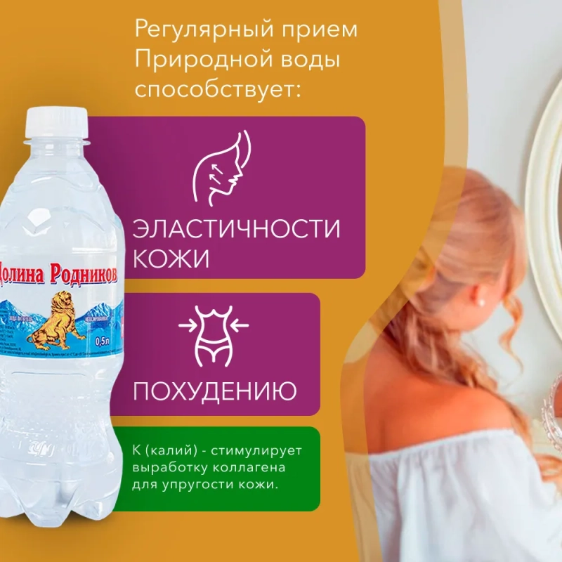 Долина родников вода питьевая негазированная  0,5л