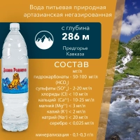 Вода питьевая РУЧЕЕК "Долина родников" газированная 1.5 л