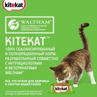 KITEKAT с говядиной в соусе 85 г