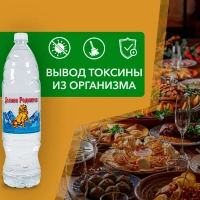 Вода питьевая РУЧЕЕК "Долина родников" газированная 1.5 л