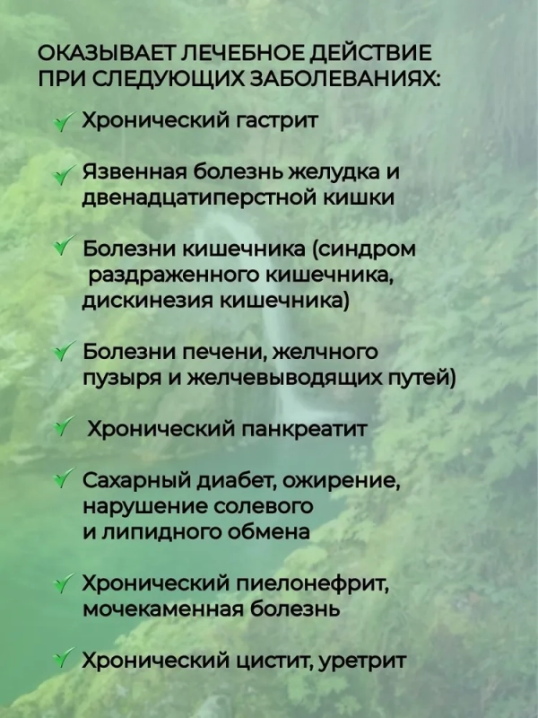 Вода минеральная ГОРЯЧИЙ КЛЮЧ 2000 "Горячеключевская" столовая газированная 1.5 л зеленая