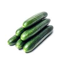 Огурцы длин.