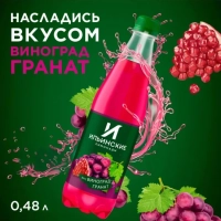 Напиток ИЛЬИНСКИЕ ЛИМОНАДЫ "Виноград-гранат" газированный 480 мл