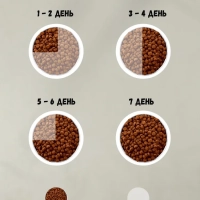 CHAMMY c говядиной 600 г