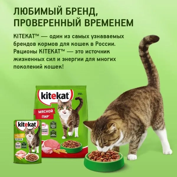 KITEKAT с курицей в соусе 85 г KITEKAT с курицей в соусе 85 г