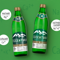 Вода минеральная ЕМВ "Галерея источников №4 г. Ессентуки" лечебно-столовая газированная 1.5 л