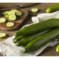 Огурцы длин.