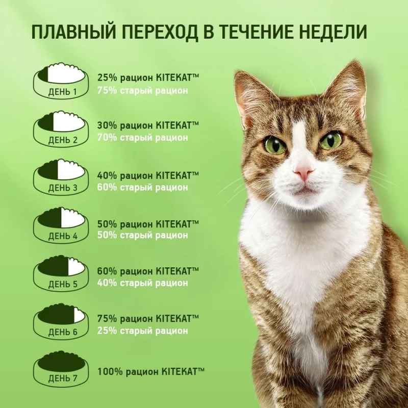 KITEKAT "Мясной пир" 800 г