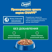 CHAPPI "Сытный мясной обед" по-домашнему с говядиной 2.5 кг