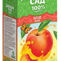 Нектар ДИВНЫЙ САД яблочно-персиковый 950 мл