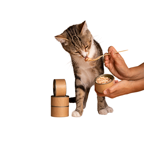 Корма для кошек