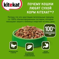 KITEKAT "Курочка аппетитная" 350 г