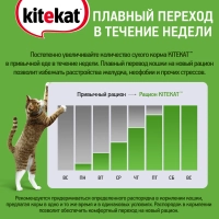 KITEKAT "Мясной пир" 350 г