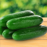 Огурцы длин.