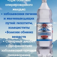 Вода минеральная ЕМВ+ "Славяновская" лечебно-столовая газированная 1.45 л