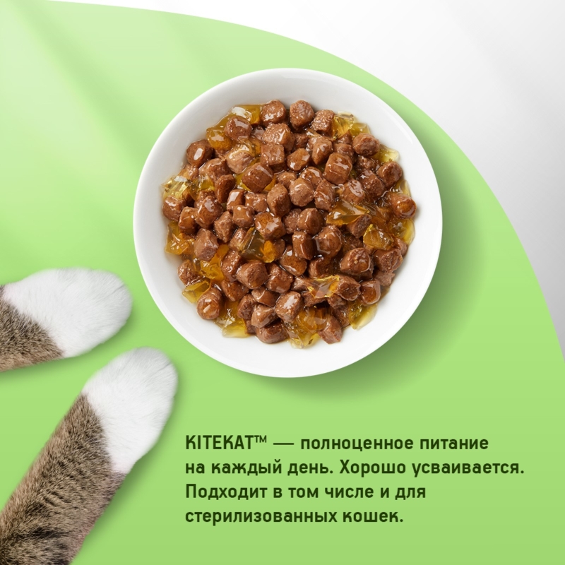 KITEKAT с говядиной в желе 85 г
