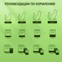 KITEKAT "Мясной пир" 800 г