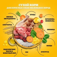 PEDIGREE с говядиной для собак мелких пород 600 г