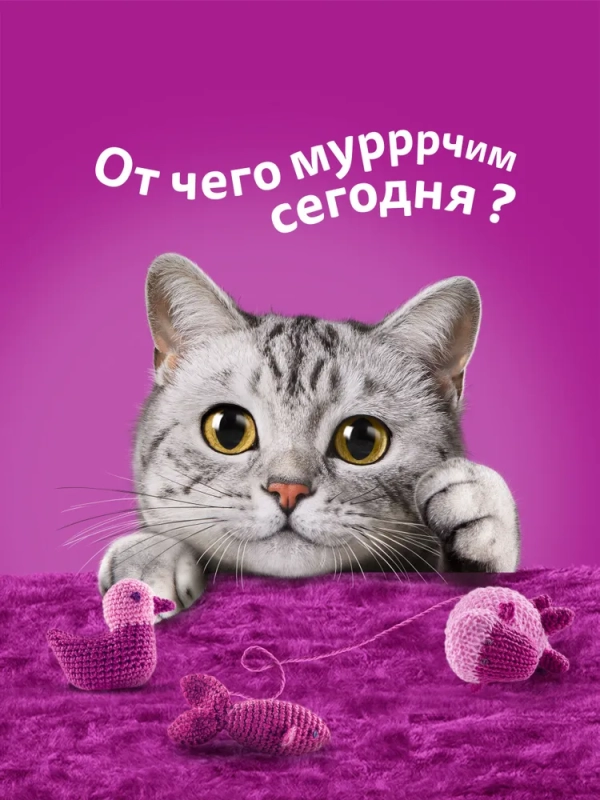 WHISKAS рагу с говядиной и ягненком 75 г WHISKAS рагу с говядиной и ягненком 75 г