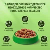 KITEKAT "Мясной пир" 800 г