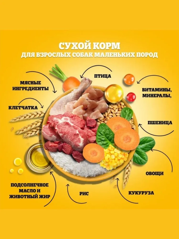 PEDIGREE с говядиной для собак мелких пород 600 г PEDIGREE с говядиной для собак мелких пород 600 г