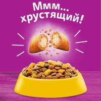 WHISKAS подушечки с нежным паштетом "Аппетитное ассорти с курицей и индейкой" 800 г